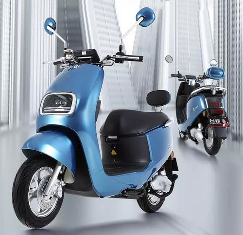 2020年電動(dòng)車行業(yè)最能跑的5款鉛酸電動(dòng)車,哪款才是續(xù)航之王