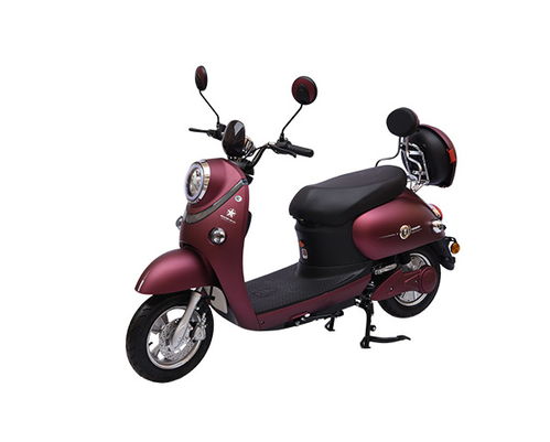 新疆電瓶車哪個(gè)牌子好