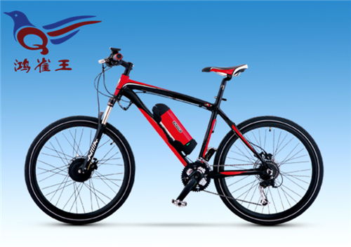 香港雀王,雀王電動車招商,鴻雀王電動車廠家 認證商家 高清圖片 高清大圖